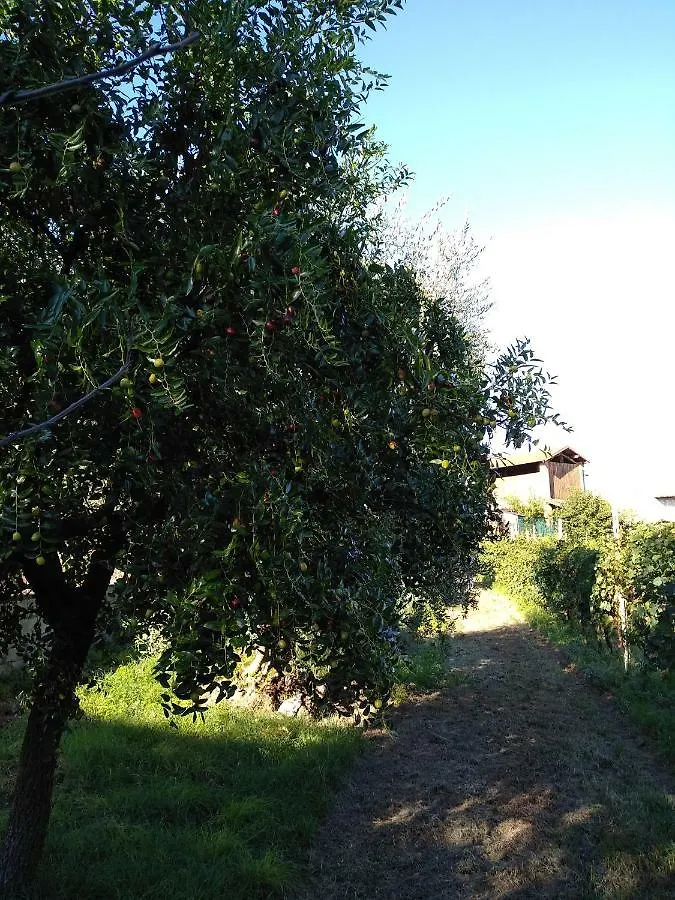 Appartamento Il Brolo Polpenazze del Garda 0*,  Italia
